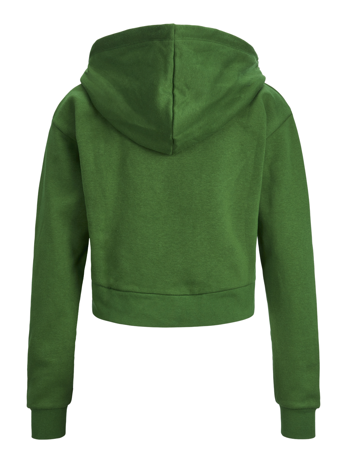 JXABBIE FELPA CON CAPPUCCIO E ZIP - Col. verde